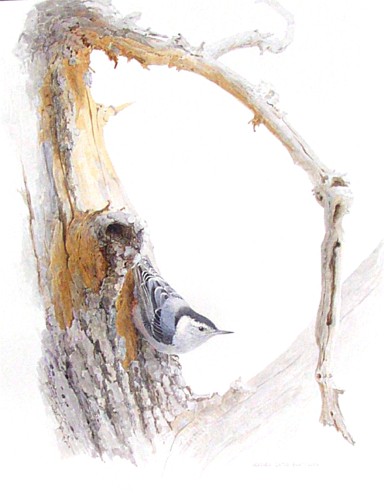 "Treehunt" ( click to enlarge )